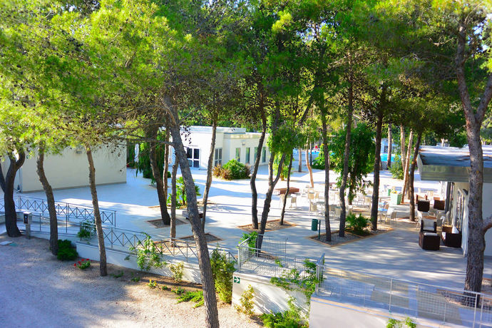 Imagen del bar/restaurante del Hotel Sira Resort. Foto 5