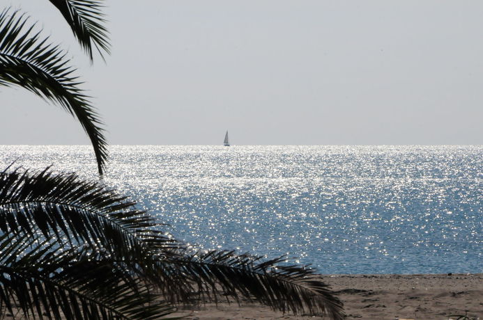 Imagen general del Hotel Sira Resort. Foto 4