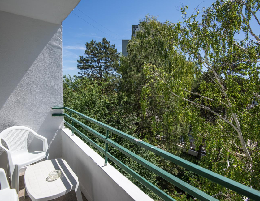 Imagen general del Hotel Siret. Foto 20