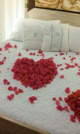 Imagen de la habitación del Hotel Siri Para&iacute;so. Foto 23