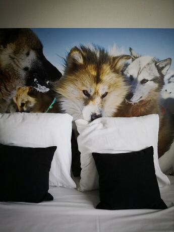 Imagen de la habitación del Hotel Sisimiut. Foto 30