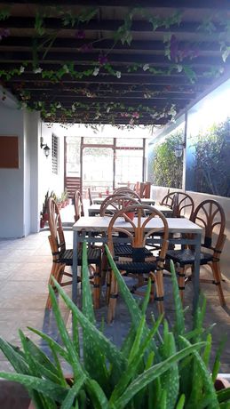 Imagen general del Hotel Sisters Inn Moalboal. Foto 2