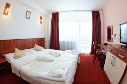 Imagen de la habitación del Hotel Sitno. Foto 7