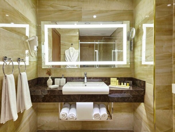 Imagen general del Hotel Sivas Buruciye Otel. Foto 5