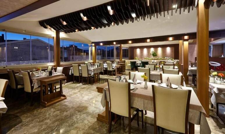 Imagen general del Hotel Sivas Buruciye Otel. Foto 17