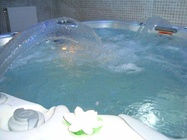 Imagen de la piscina del Hotel Sivas Buyuk. Foto 20