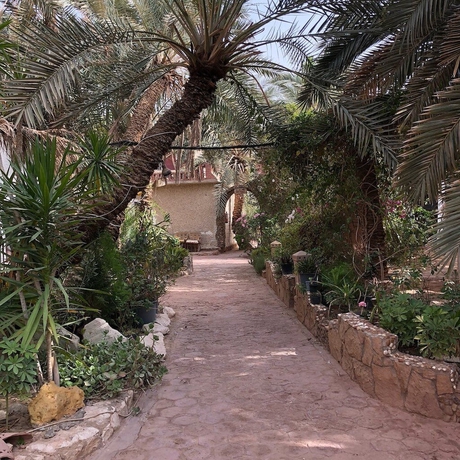 Imagen general del Hotel Siwa Paradise. Foto 1