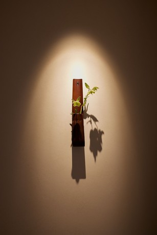 Imagen de la habitación del Hotel Six Senses Kyoto. Foto 9