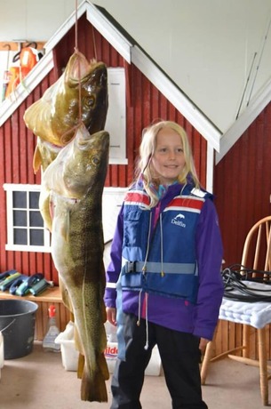 Imagen general del Hotel Sj&oslash;strand Rorbuer. Foto 6