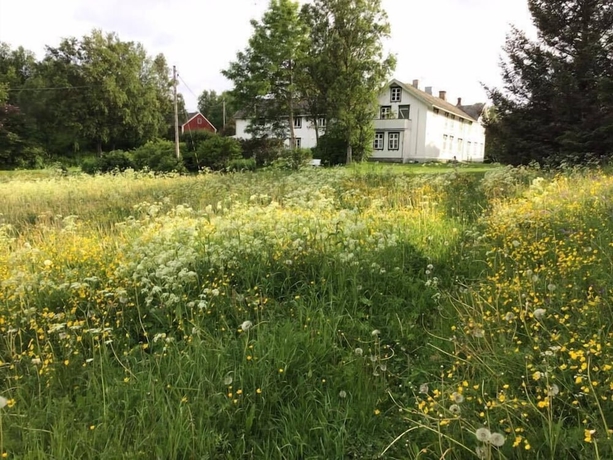 Imagen de la habitación del Hotel Skagen Gaard. Foto 14