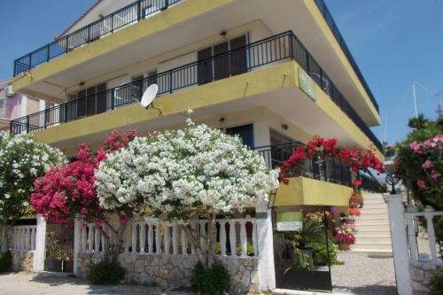 Imagen general del Hotel Skala, Skala (Cefalonia). Foto 1