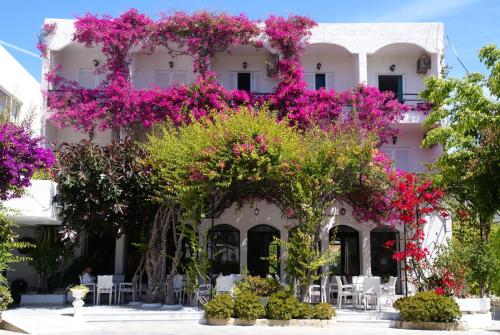Imagen general del Hotel Skala, Skala (Patmos). Foto 4