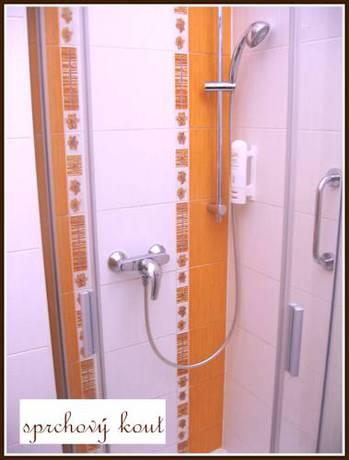 Imagen de la habitación del Hotel Skaln&iacute; Ml&yacute;n. Foto 13