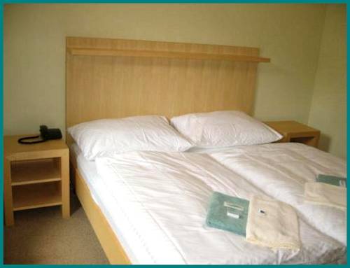 Imagen de la habitación del Hotel Skaln&iacute; Ml&yacute;n. Foto 16