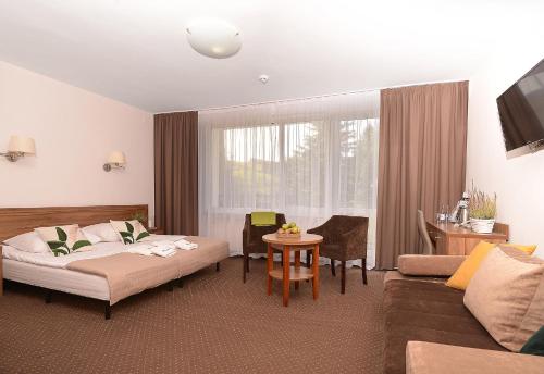 Imagen de la habitación del Hotel Skalny Spa Bieszczady. Foto 6