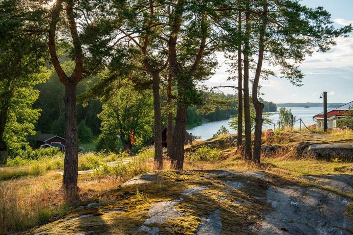 Imagen general del Hotel Skeviks Gård. Foto 18