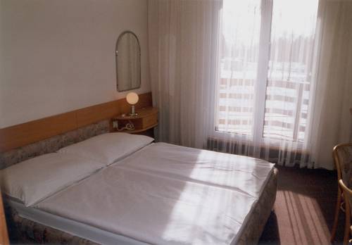 Imagen de la habitación del Hotel Ski, Nove Mesto na Morave. Foto 7