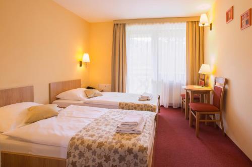 Imagen general del Hotel Ski, Piwniczna-Zdroj. Foto 1