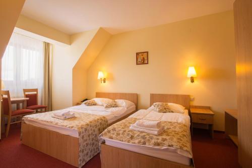 Imagen general del Hotel Ski, Piwniczna-Zdroj. Foto 3