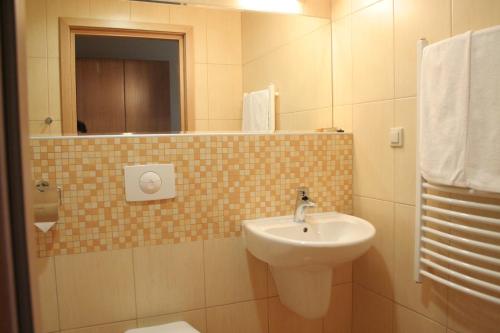 Imagen de la habitación del Hotel Ski, Piwniczna-Zdroj. Foto 8