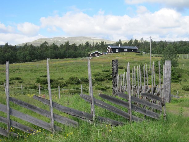 Imagen de los exteriores del Hotel Skjerdingen H&oslash;yfjellshotel. Foto 7