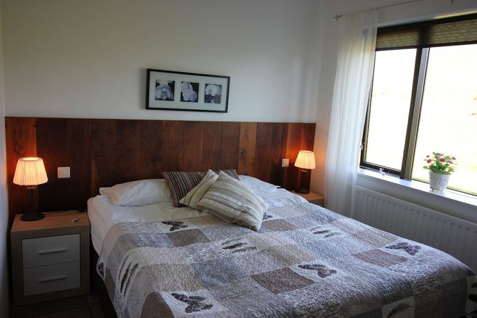 Imagen de la habitación del Hotel Skógá by EJs. Foto 7