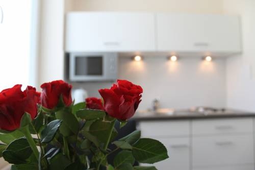 Imagen general del Hotel Sky Apartments Vienna. Foto 7