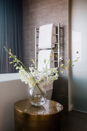 Imagen de los interiores del Hotel Sky Villa Boutique. Foto 12