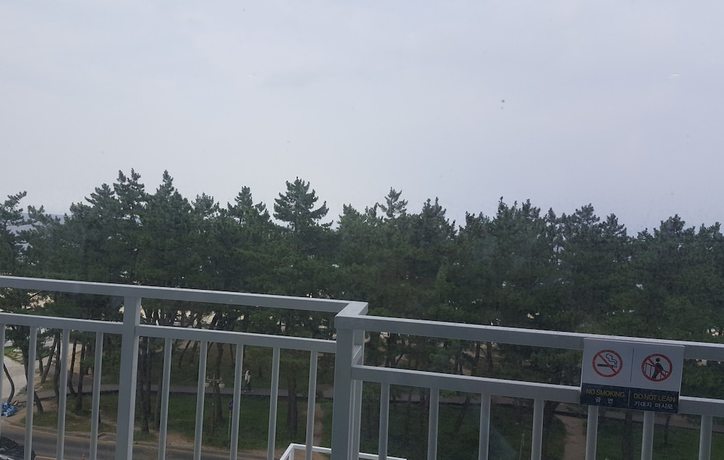 Imagen de la habitación del Hotel Skybay Gyeongpo. Foto 3
