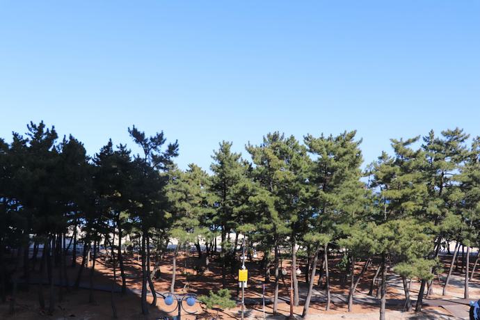 Imagen de la habitación del Hotel Skybay Gyeongpo. Foto 14