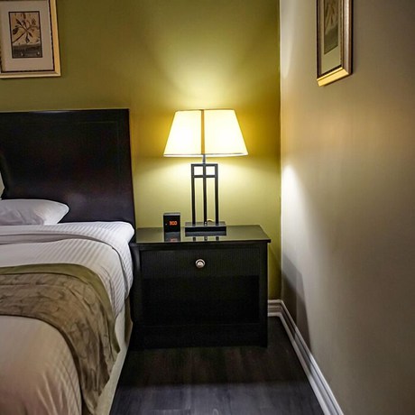 Imagen de la habitación del Hotel Skyland Motel Inn and Suites. Foto 6