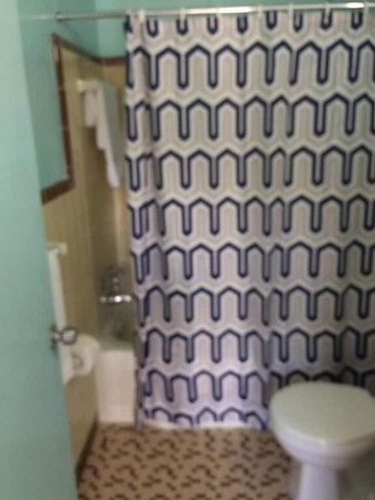 Imagen de la habitación del Hotel Skylark Motel. Foto 16