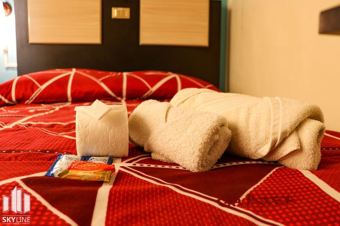 Imagen de la habitación del Hotel Skyline, La Paz. Foto 1