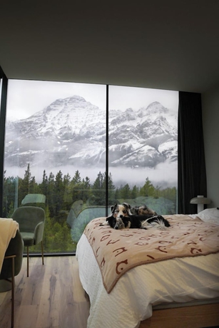 Imagen de la habitación del Hotel Skyridge Glamping. Foto 7