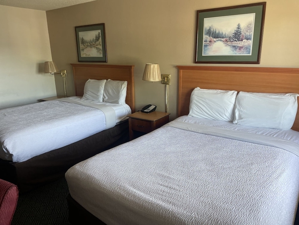Imagen de la habitación del Hotel Skyway Inn SeaTac. Foto 12