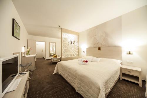 Imagen de la habitación del Hotel Slamen&yacute; Dom & SPA. Foto 7