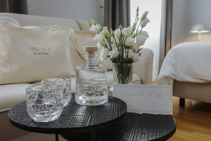 Imagen general del Hotel Slatina, Ratanska vas. Foto 6