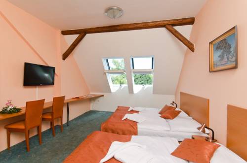 Imagen de la habitación del Hotel Slavia, Boskovice. Foto 10