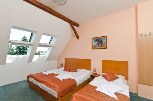 Imagen de la habitación del Hotel Slavia, Boskovice. Foto 11