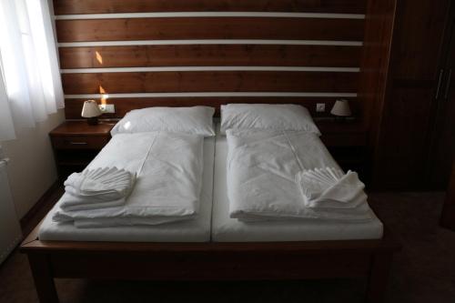 Imagen general del Hotel Slavie. Foto 10