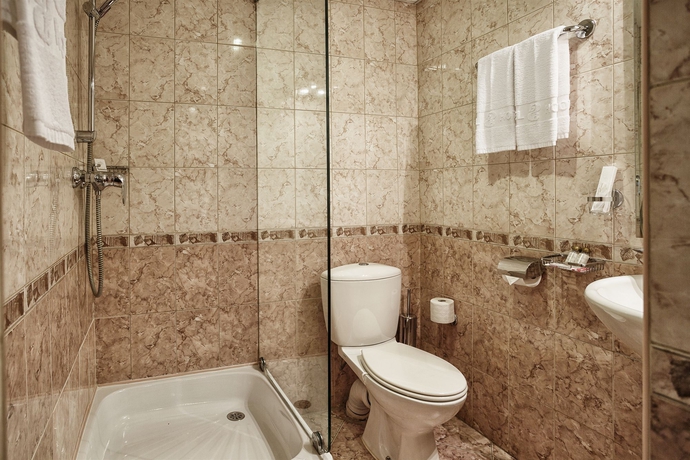 Imagen de la habitación del Hotel Slavyanka, Cheliábinsk. Foto 14