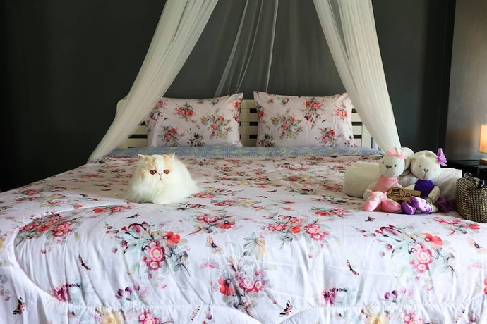 Imagen de la habitación del Hotel Sleep, Bang Saen. Foto 8