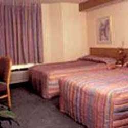 Imagen general del Hotel Sleep Inn Airport, Aeropuerto Intercontinental George Bush. Foto 5