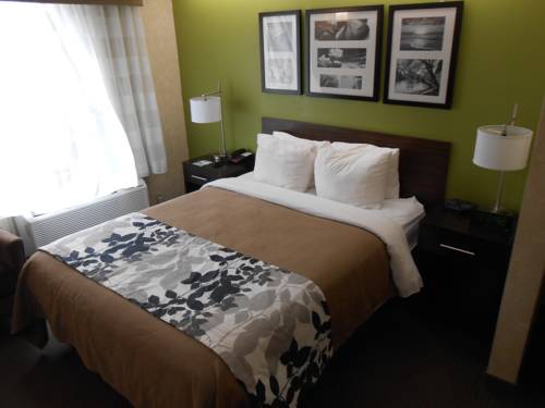 Imagen de la habitación del Hotel Sleep Inn Airport, Sioux Falls. Foto 11