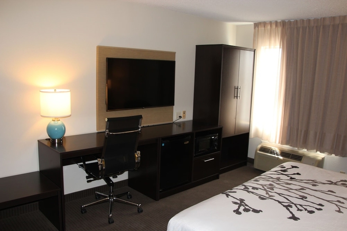 Imagen de la habitación del Hotel Sleep Inn Allentown - Fogelsville. Foto 15