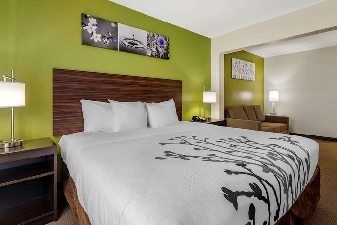 Imagen de la habitación del Hotel Sleep Inn And Suites Brunswick. Foto 6