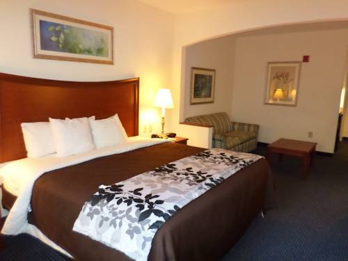 Imagen de la habitación del Hotel Sleep Inn And Suites Chesapeake - Portsmouth. Foto 1