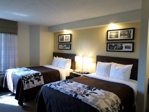 Imagen de la habitación del Hotel Sleep Inn And Suites Chesapeake - Portsmouth. Foto 2