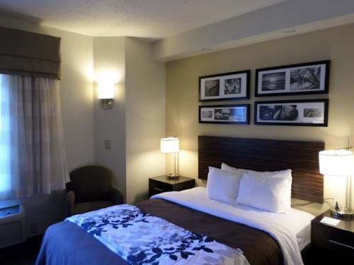Imagen de la habitación del Hotel Sleep Inn And Suites Chesapeake - Portsmouth. Foto 3
