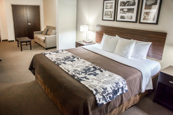 Imagen de la habitación del Hotel Sleep Inn And Suites Indoor Waterpark. Foto 6
